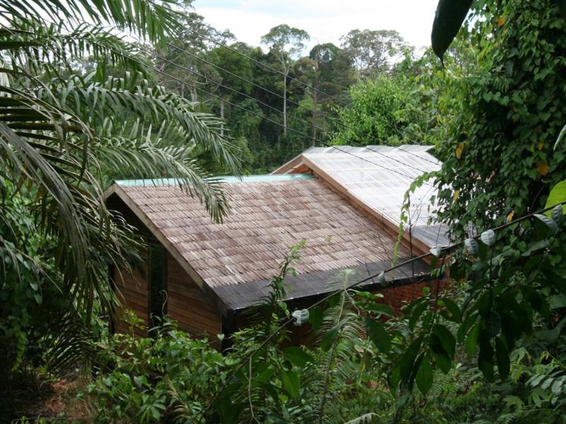Paganakan Dii Tropical Retreat Sepilok Exterior photo