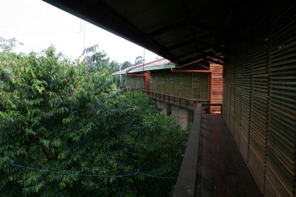Paganakan Dii Tropical Retreat Sepilok Exterior photo